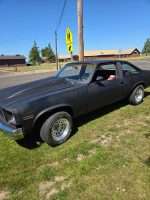 1975-1979 Chevrolet Chevy Nova, SS / 1976-1977 Chevy Concours Fiberglass Hood 4" Cowl Induction Style, Also Fits 1976-1977-1978 Nova (Bolt-On Heavy Duty) - Image 3
